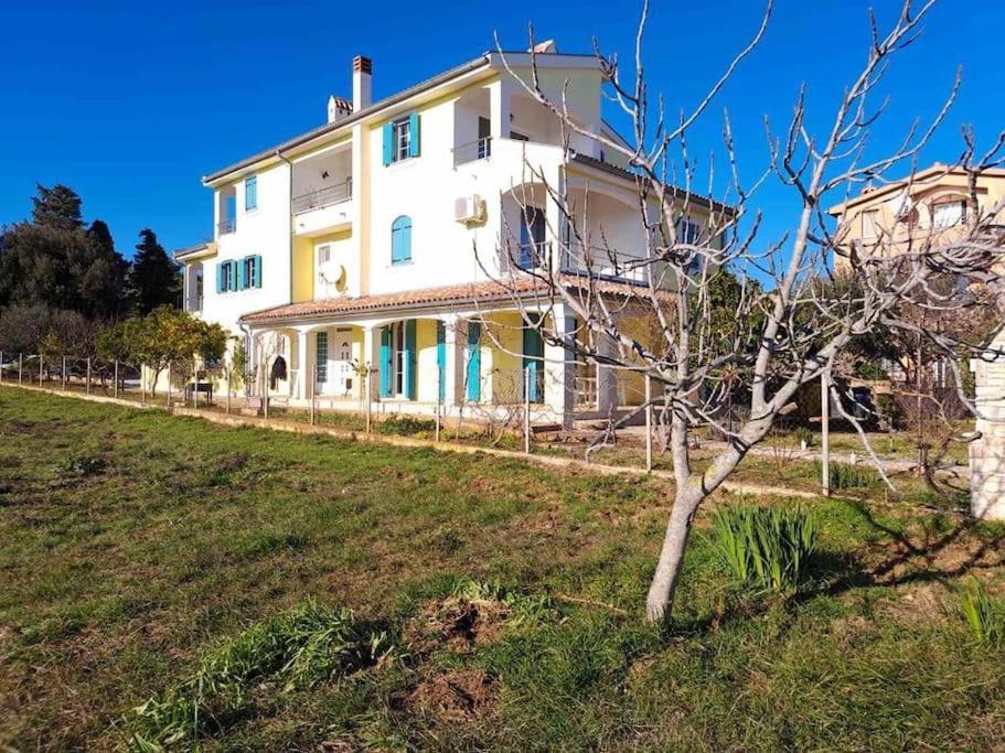 Appartamento Laurus Premantura